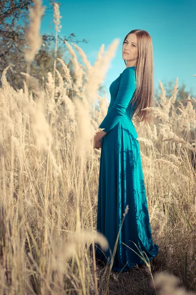 Girl in a blue dress — Stock Photo, Image