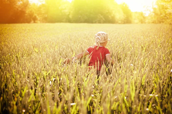 Liten pojke körs på vete fält — Stockfoto