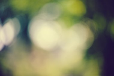 Yeşil bulanık arkaplan ve güneş ışığı