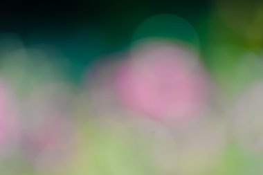 Bulanık bokeh arkaplanı