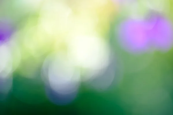 blurred bokeh background