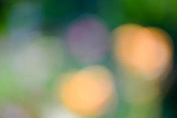 Green leaves and flowers blurred background in sunlight — Stock Photo, Image