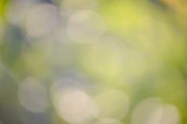 yeşil arka plan bulanık