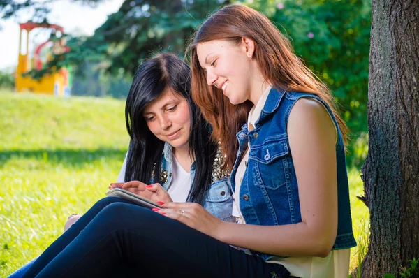 Estudantes sentados no parque com tablet pc — Fotografia de Stock