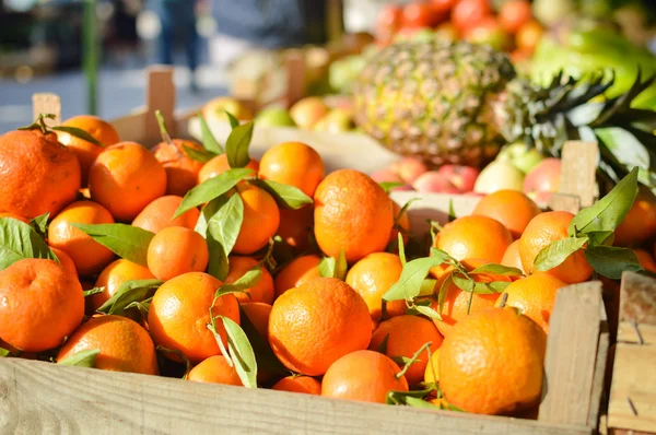 Pomeranče a ananas na marketplace. — Stock fotografie