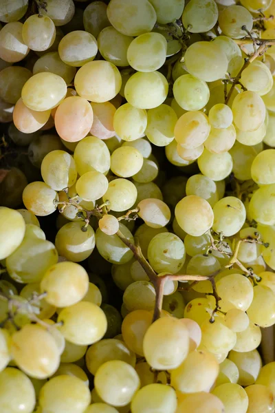 Montón de uvas vendidas en el mercado de frutas —  Fotos de Stock