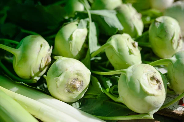 Bulbs of fresh fennel vegetable on market stall for sale — Stock Photo, Image