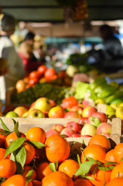 新鮮なオレンジ果物と野菜の市場でのクローズ アップ写真 — ストック写真