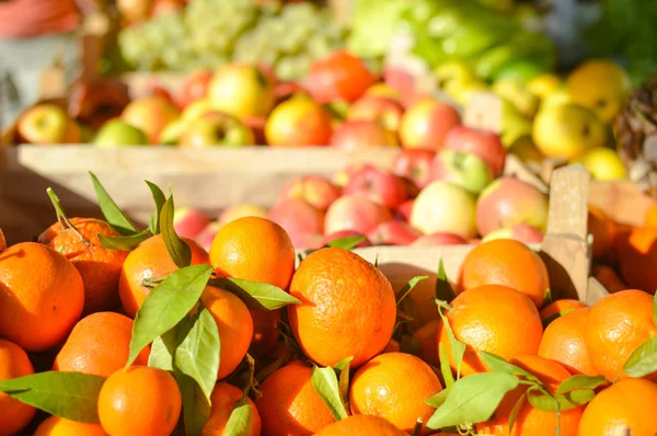 Close-up foto van verse sinaasappelen vruchten en vegitables op de markt — Stockfoto