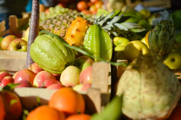 Fundo colorido de muitas frutas diferentes em um mercado de agricultores — Fotografia de Stock