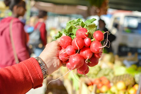 Radishes lies in female hands on background of farm market — Stock Photo, Image