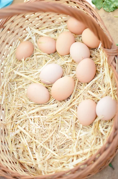 Basket with eggs on market — Stock Photo, Image