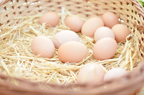 Foto de primer plano de la cesta con huevos en el mercado — Foto de Stock