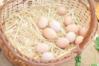 Pipet pazarında tavuk yumurtası