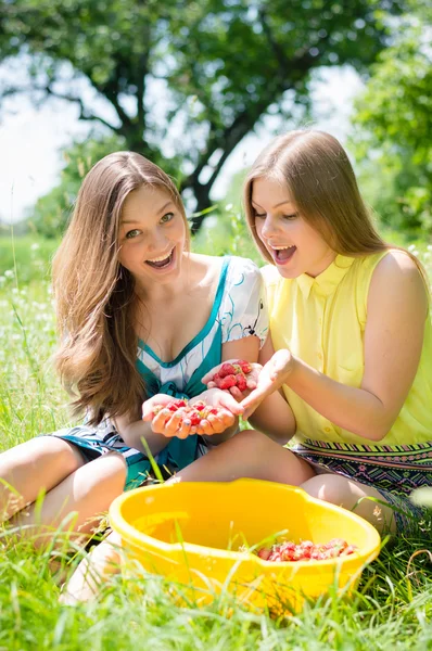 Две счастливые улыбки юные подруги на ферме собирают клубнику — стоковое фото