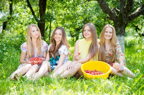 Girls gathering strawberry on bright summer day green — Stock Photo, Image