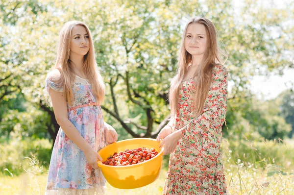 Two happy young women friends on farm gathering strawberry — Stock Photo, Image