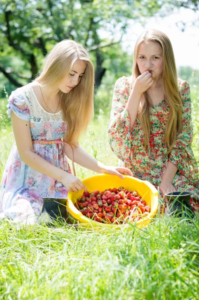 Dos jóvenes amigas felices en la granja recogiendo fresa — Foto de Stock