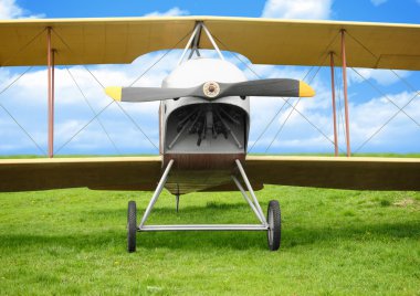 Yeşil çimenlerin üzerinde eski uçak