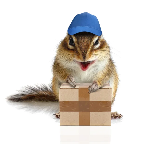 Comical chipmunk courier hold parcel, delivery concept — Stock Photo, Image