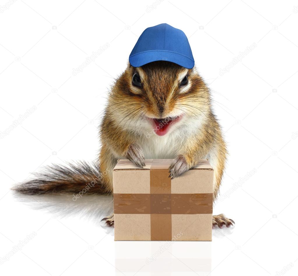 comical chipmunk courier hold parcel, delivery concept