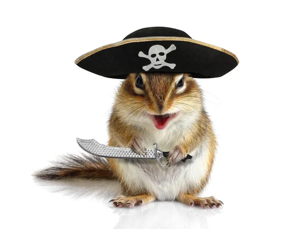 Divertido animal pirata, ardilla con sombrero y sable — Foto de Stock