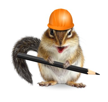 Funny architect chipmunk with pencil and hard hat on white clipart