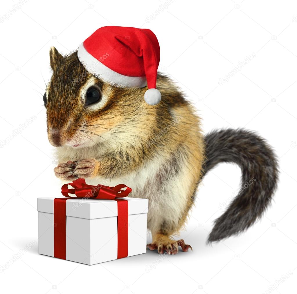 depositphotos_84587276-stock-photo-chipmunk-in-red-santa-claus.jpg