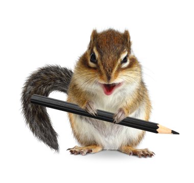 Funny chipmunk hold pencil, isolated on white clipart