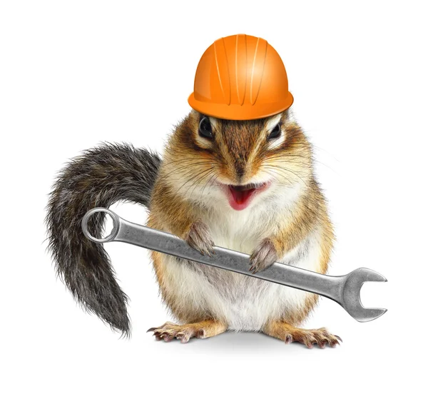 Grappige klusjesman chipmunk werknemer met helm en moersleutel geïsoleerde o — Stockfoto