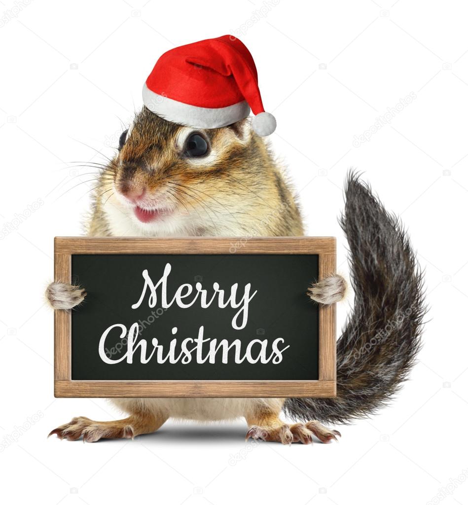 Funny santa claus, chipmunk hold blackboard with merry christmas