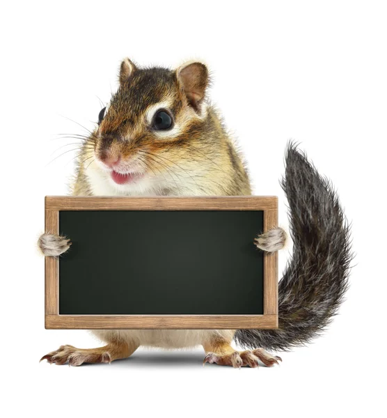 Funny chipmunk hold blank blackboard, isolated on white — Stock Photo, Image