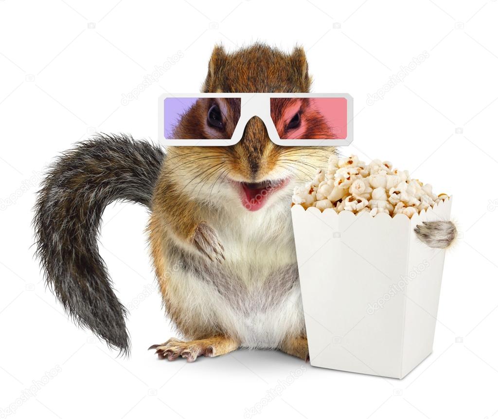 Funny squirrel with blank popcorn bucket and 3d glasses isolated