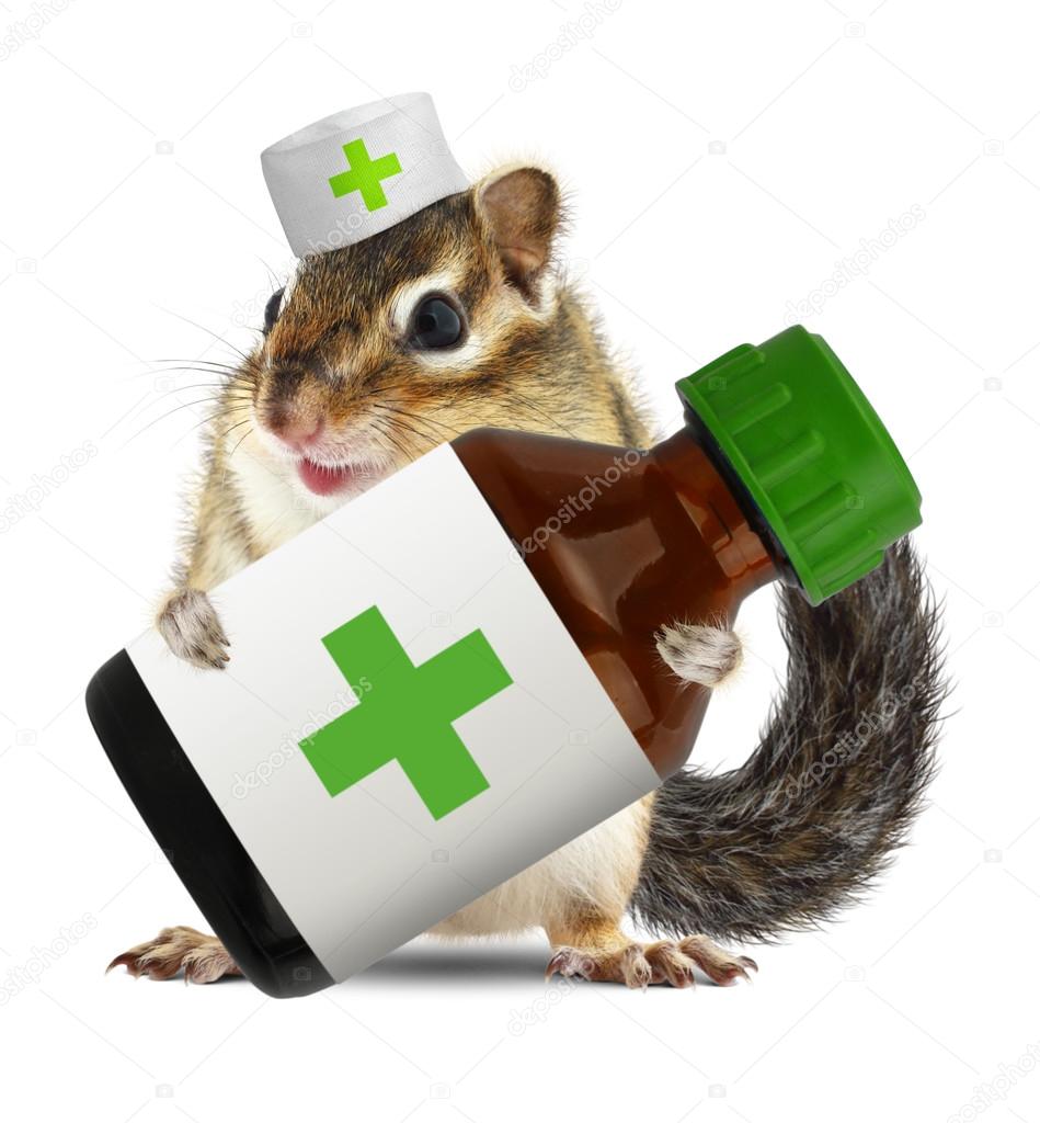 depositphotos_87406362-stock-photo-funny-animal-chipmunk-with-veterinarianhat.jpg