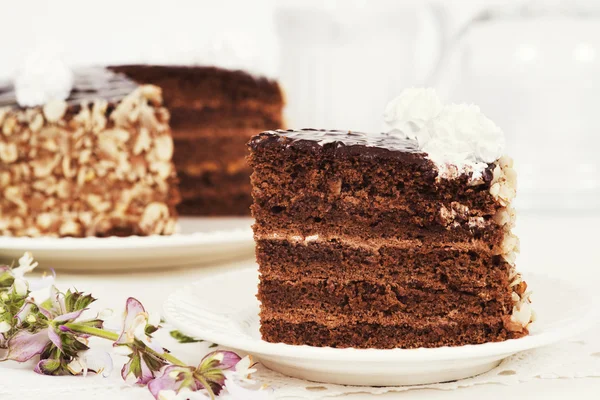 Pezzo di torta al cioccolato sul piatto sullo sfondo chiaro — Foto Stock