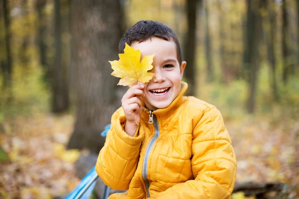 Cheerful boy smiling and hiding behind yellow leaf — Stock Photo, Image