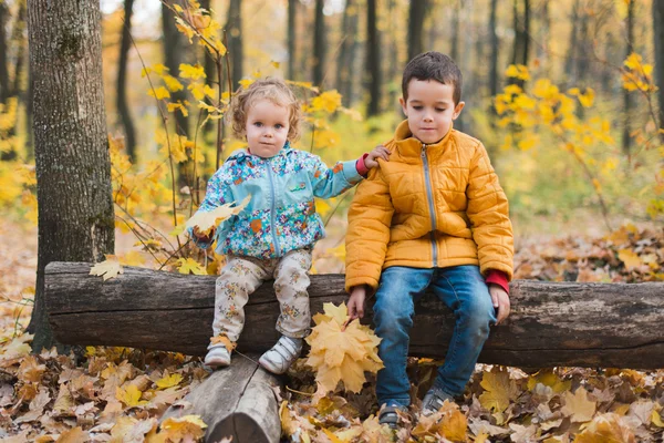 Des enfants joyeux dans la forêt d'automne — Photo