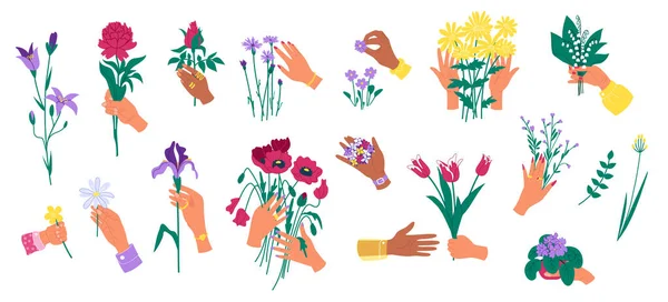 Mãos segurando flores isoladas em conjunto branco de ilustrações vetoriais. Mans mão segurar buquê floral. Significado de mostrar amor. — Vetor de Stock