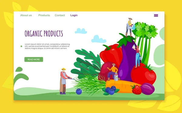 Ekologisk platt produkt koncept, vektor illustration. Vegetabilisk hälsosam mat för människor karaktär, färsk bonde fruktträdgård. — Stock vektor
