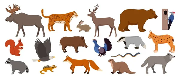 Lesní živočichové izolovaní na bílém vektorovém obrázku. Zvířata a ptáci. Moose, jelen, medvěd a ježek, králík, veverka, bobr. — Stockový vektor