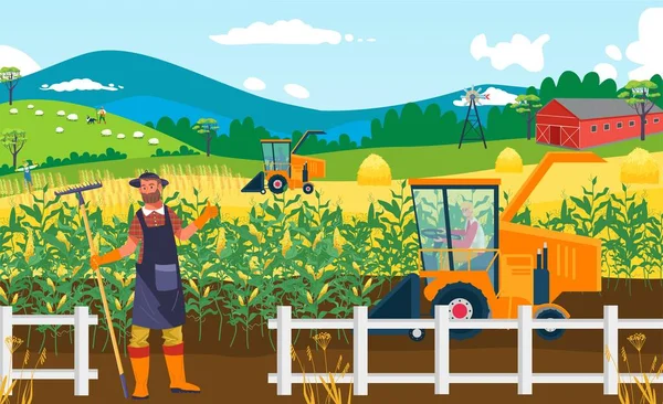 Jordbruk gröda gård fält, vektor illustration. Landsbygdsodlare människor på landsbygden natur jordbruksskörd. Tecknad jordbruksmark utomhus — Stock vektor