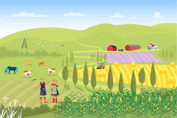 Farmer family male female harvesting campaign crop, country house collect corn, rye organic field flat vector illustration.