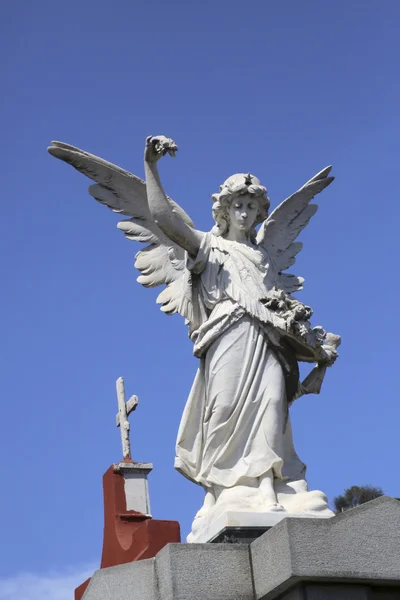Melek heykeli recoleta mezarlığı, buenos aires — Stok fotoğraf