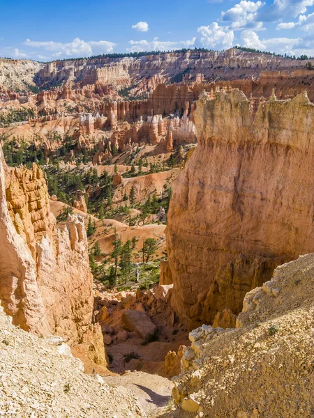 Wunderschöne Landschaft in der Schlucht von Bryce bei Sonnenaufgang — Stockfoto