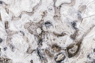 donmuş buz ve yaprakları 