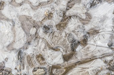 donmuş buz ve yaprakları 