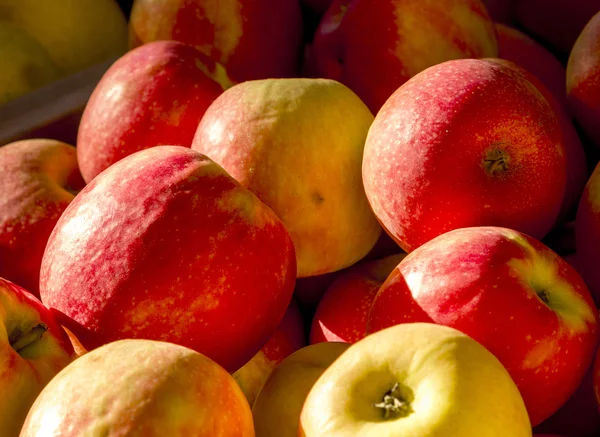Färska äpplen som erbjuds på marknaden — Stockfoto