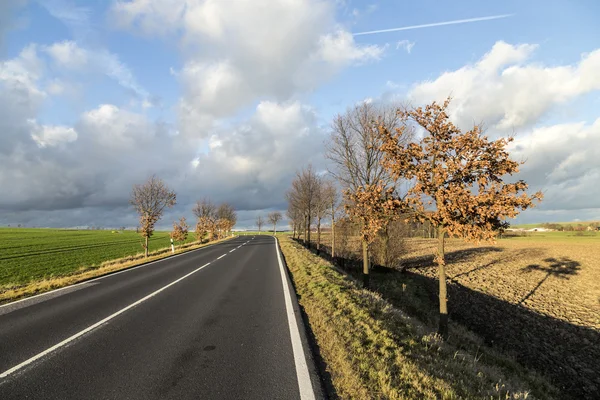 Straße mit Bäumen in ländlicher Landschaft — Stockfoto