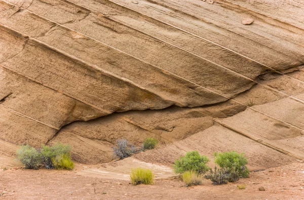 Detalj av klipporna vid horseshoe bend i sida — Stockfoto