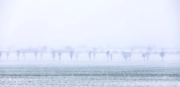 Сельский пейзаж в Бад-Франкенхаузен зимой — стоковое фото